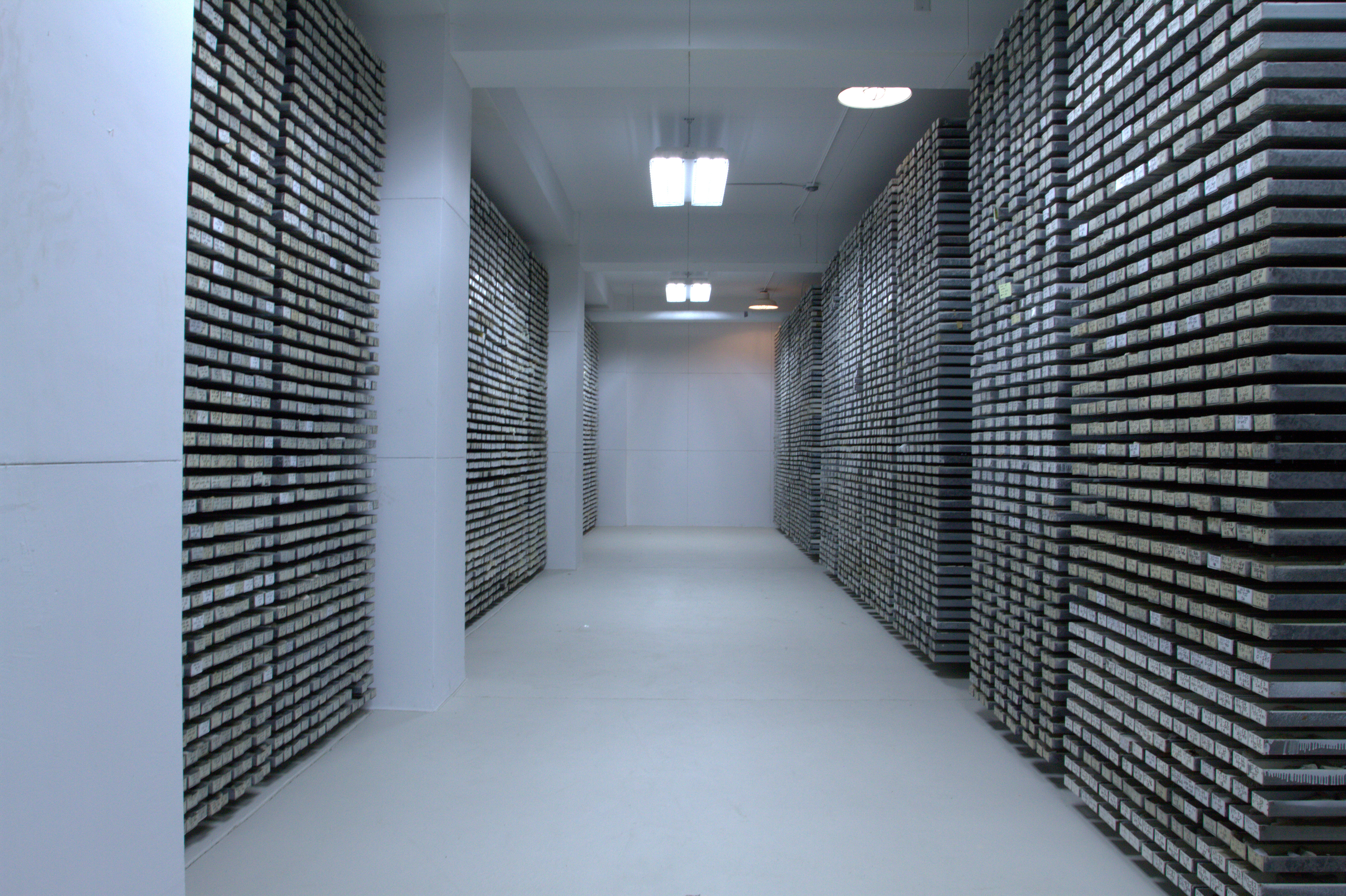The Lamont-Doherty Core Repository contains one of the world’s most unique and important collection of scientific samples from the deep sea. Sediment cores from every major ocean and sea are archived here. The Lamont-Doherty Core Repository contains one of the world’s most unique and important collection of scientific samples from the deep sea. Sediment cores from every major ocean and sea are archived here.